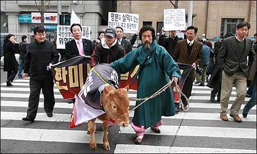 한미FTA 저지 농축수산 비상대책위원회 소속 농민단체 대표들과 강기갑 민주노동당 의원이 8일 오후 서울 종각 네거리에서 트럭으로 싣고 온 송아지 1마리와 염소 2마리를 끌고 광화문네거리까지 행진을 벌이고 있다. 